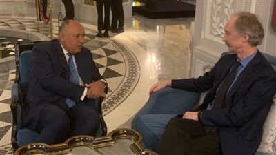 وزير الخارجية يؤكد ثوابت الموقف المصري حيال الأزمة في سوريا