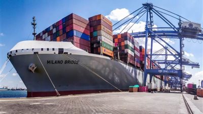 تداول 35 سفينة للحاويات والبضائع العامة بميناء دمياط