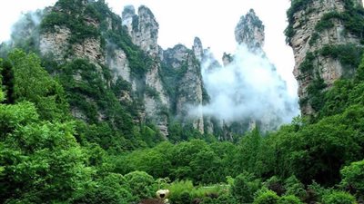 جمال نادر.. حديقة تشانغجياجيه ذات الأعمدة الشاهقة في الصين 