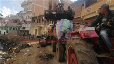 رفع القمامة والمخلفات في حملات نظافة بقرى كفر الشيخ