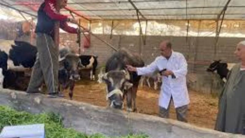 جهود الطب البيطرى