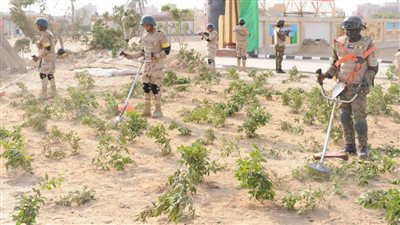 استمرار فعاليات التدريب المصري السوداني (حارس الجنوب -2) 