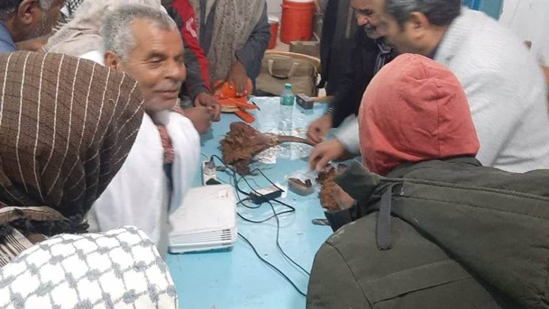 ندوات وإرشادات زراعية