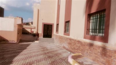 بعد توقف 10 سنوات.. تشغيل مركز التدريب الأطباء البيطريين بالإسماعيلية