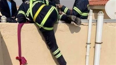 الحماية المدنية بالإسكندرية تنقذ 