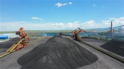 الحكومة المنغولية تحقق في قضية  