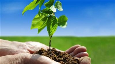 انطلاق فعاليات المؤتمر الدولي حول المجتمع والأديان بالإسكندرية