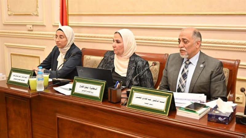 نيفين القباج وزيرة