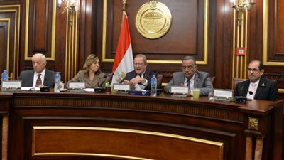 وزيرة الثقافة تستعرض جهود الوزارة لدعم حقوق الإنسان بمجلس الشيوخ