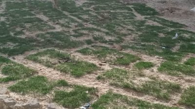 انطلاق مبادرة 