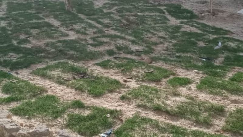 الشارع بعد اعمال