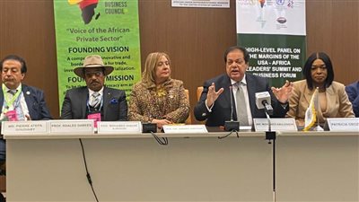 أبو العينين أمام قادة الولايات المتحدة وإفريقيا: مبادرات الرئيس السيسي ستحدث نقلة استثمارية وحضارية للقارة السمراء