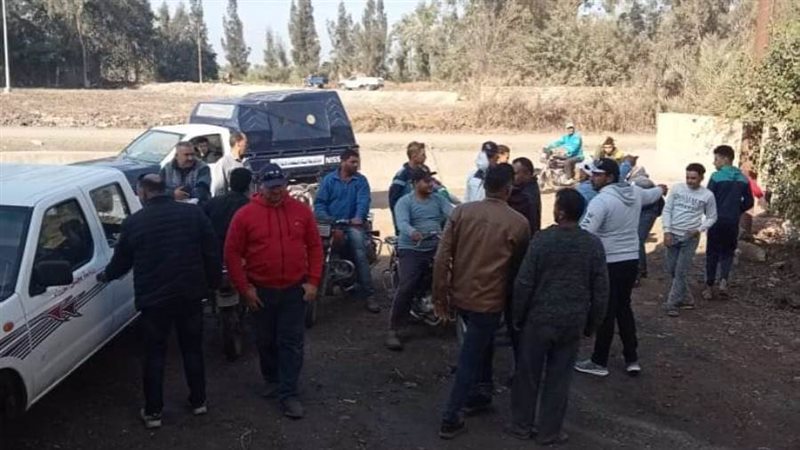 البحث تمساح بترعة