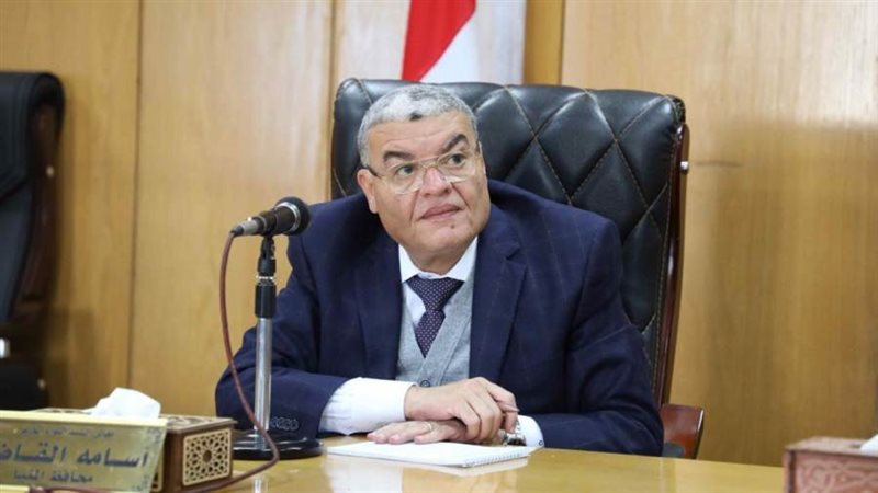 محافظ المنيا