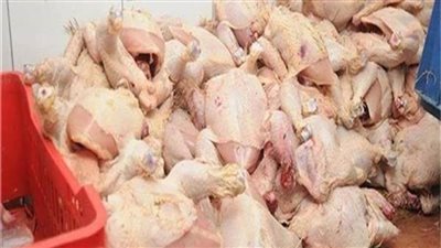 ضبط طني دواجن غير صالحة للاستهلاك الآدمي قبل ترويجها بالقاهرة