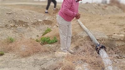 تمهيدا للزراعة.. استصلاح 5 أفدنة بمزرعة مدرسة الفرافرة الزراعية بالوادي الجديد