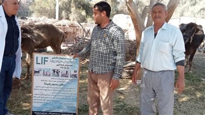 الطب البيطري... تنفيذ 17 حملة تفتيشية بأسواق البحيرة وضبط 9 طن لحوم غير صالحة