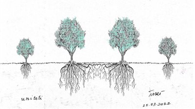 #الريشة_في_مواجهة_التغيرات_المناخية 