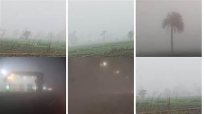 الشبورة المائية الكثيفة تكسو الطرق والزراعات.. و