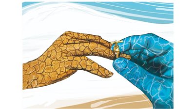 #الريشة_في_مواجهة_التغيرات_المناخية 