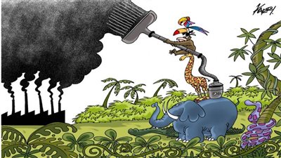 #الريشة_في_مواجهة_التغيرات_المناخية 