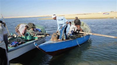 جهاز تنمية البحيرات يعلن افتتاح موسم الصيد بمزرعة المنزلة السمكية