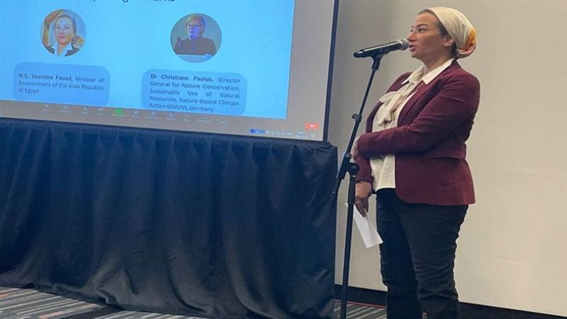 الدكتورة ياسمين فؤاد