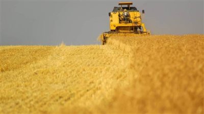 التموين: احتياطي القمح يكفي 4.8 شهر والزيت 4.9 شهر والأرز 5.9 شهر