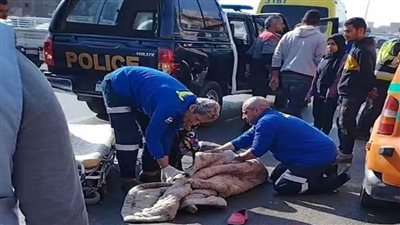 مصرع شقيقين أثناء عبور الطريق الدائري بمسطرد في الخصوص