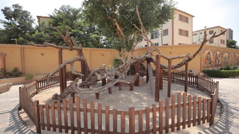 بوابة روز اليوسف