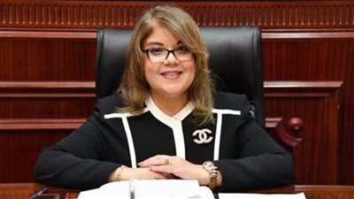 وكيل مجلس الشيوخ: الجمهورية الجديدة تضع قناة السويس كأولوية أولى في مخططها للتنمية المستدامة