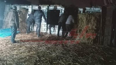   إزالة 8 حالات تعدٍ ووقف بناء مخالف بمركزي الحامول ومطوبس بكفر الشيخ