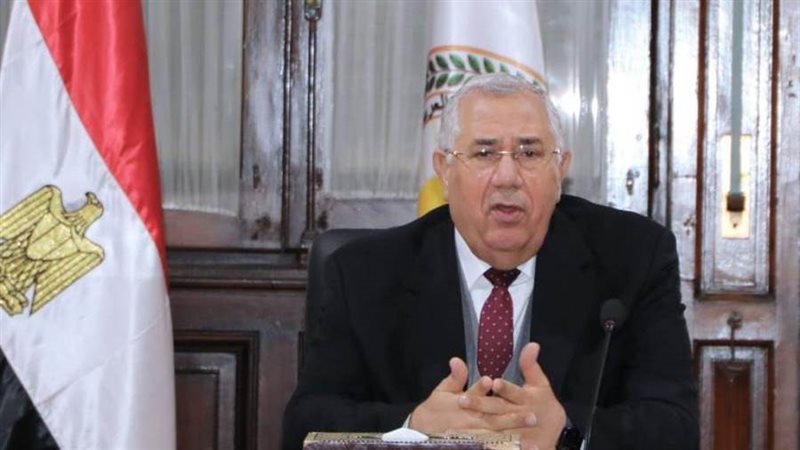 السيد القصير