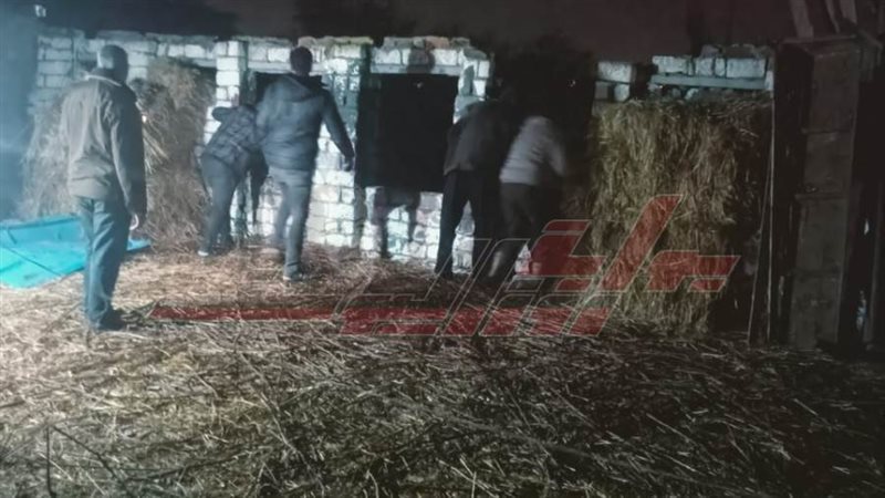 إزالة التعديات