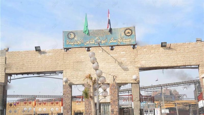 بدء توريد محصول قصب