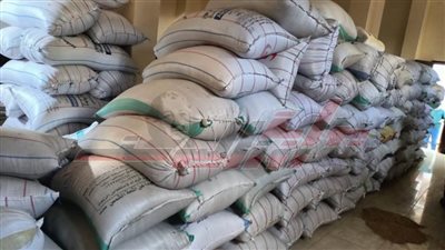 ضبط 183 طن أرز شعير و805 كيلو وتحرير 16 محضرًا للمحتكرين بكفر الشيخ