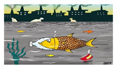 #الريشة_في_مواجهة_التغيرات_المناخية 