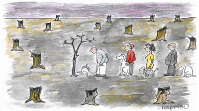 #الريشة_في_مواجهة_التغيرات_المناخية 