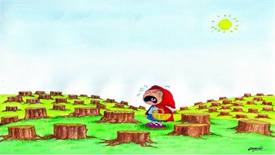 #الريشة_في_مواجهة_التغيرات_المناخية 