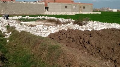 إزالة 20 حالة تعدٍ على الأراضي الزراعية في حملة بالبحيرة