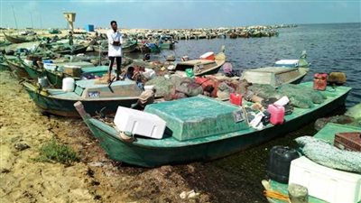 إغلاق بحيرة البردويل أمام الصيادين بعد انتهاء موسم الصيد الحالي