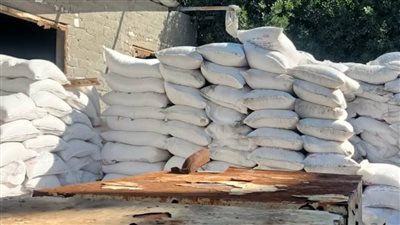 الإسكندرية.. تموين العامرية يضبط مصنعًا لتصنيع منتجات الألبان دون ترخيص