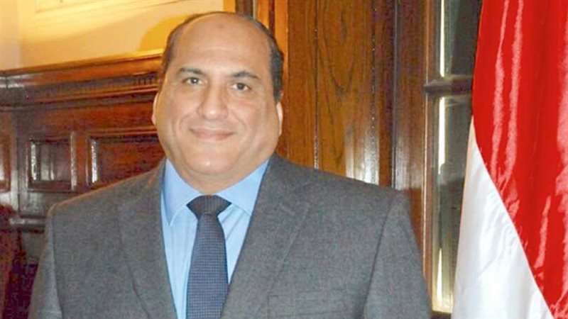 الدكتور حسن الفولي