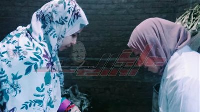 بيطري كفر الشيخ يحصن 64 ألف طائر من مرض إنفلونزا الطيور 