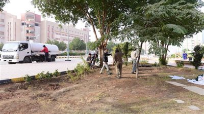 جولة تفقدية لرئيس جامعة سوهاج لمتابعة تنفيذ خطة التشجير وأعمال الصيانة بالمقر الجديد