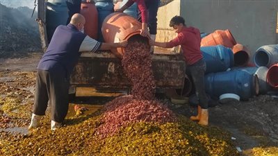 إعدام 52 طن مخللات غير صالحة للاستهلاك الآدمي بههيا 