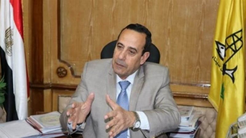 الدكتور محمد عبدالفضيل