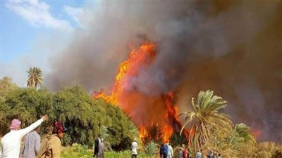 محافظ الوادي الجديد يوجه الشكر للحماية المدنية لإخماد حريق الداخلة