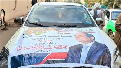 مبادرة معا ضد الغلاء.. البحيرة تطلق قافلة تضم 25 سيارة مواد غذائية مدعمة
