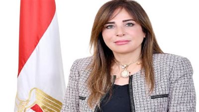 الوزراء: وحدة حل مشكلات المستثمرين انتهت من حل 250 شكوى لمستثمرين من363 